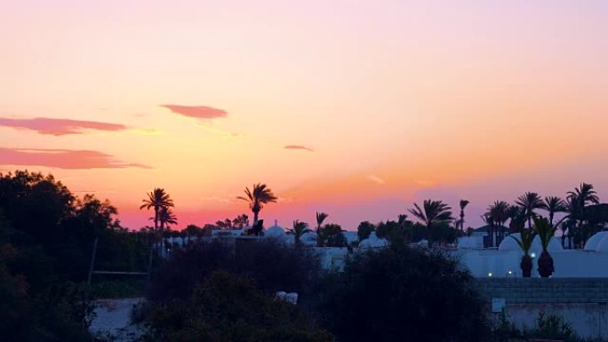 突尼斯传统阿拉伯建筑和棕榈树美丽的日落景观