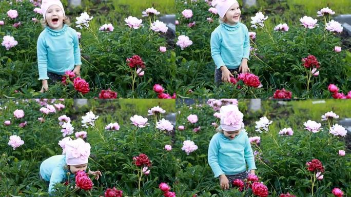 小女孩闻到牡丹花的香气。婴儿带着牡丹在花园里散步