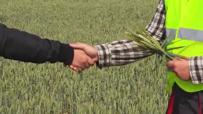 农民在谷物田上握手