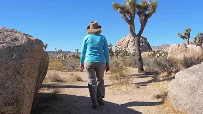 徒步妇女在莫哈韦沙漠，在仙人掌，约书亚树和石头之间