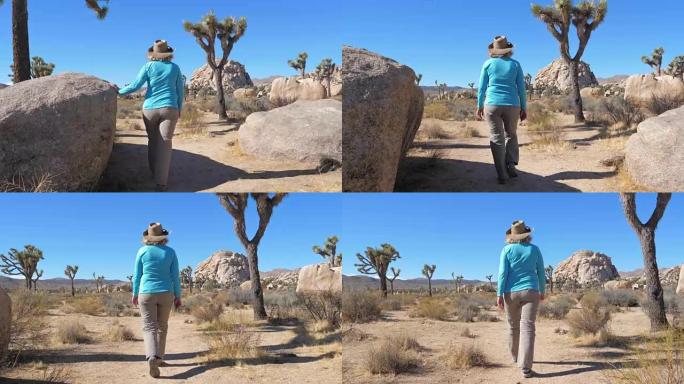 徒步妇女在莫哈韦沙漠，在仙人掌，约书亚树和石头之间