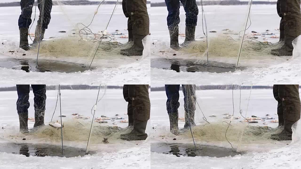 渔民将鱼从冰冻池塘的洞中拉出。冬季钓鱼