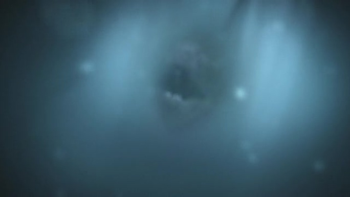 攻击海鳗-水下恐怖场景