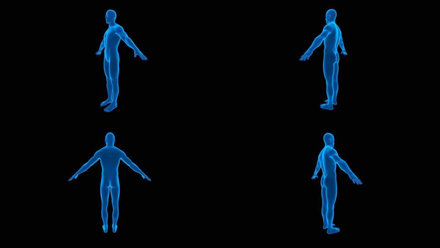 人体模型动画 平视