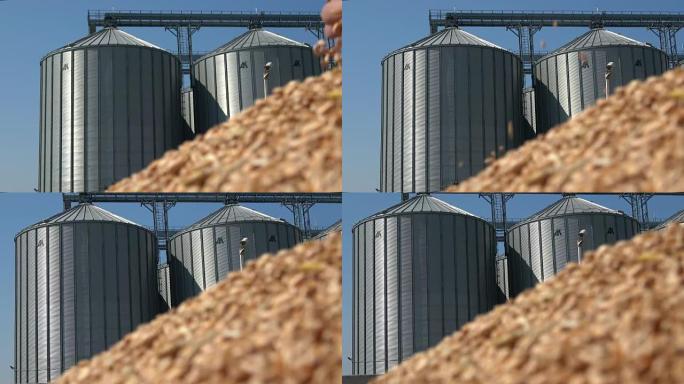 筒仓储藏农业，小麦在手