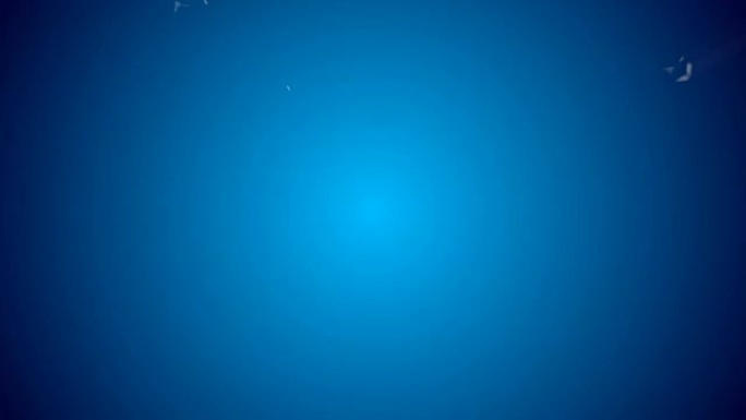 在蓝色背景上慢动作注入水中的浓墨的多色3d流。用作背景，luma matte上的墨水效果作为alph