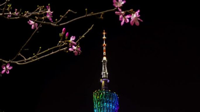 广州广州塔顶樱花景观4k延时中国