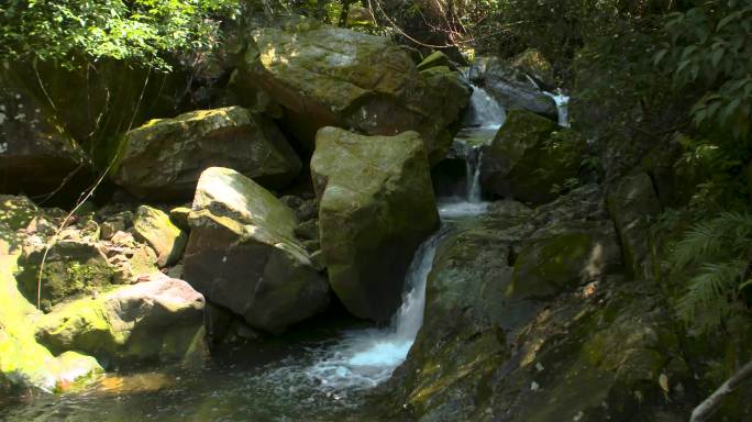 4kl1鼎湖山 小溪 溪涧