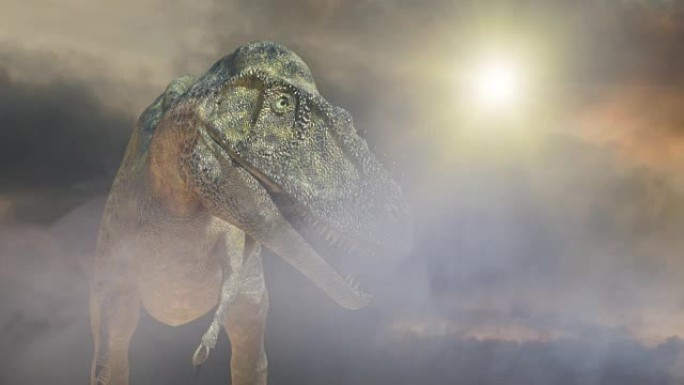 动画在黑暗背景上运行恐龙霸王龙3d渲染