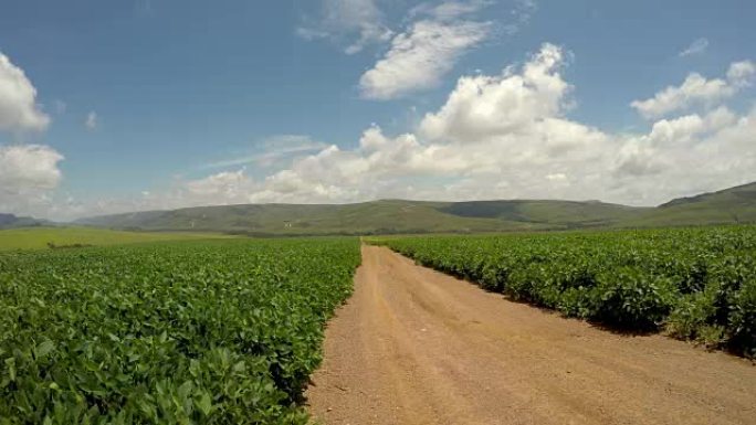 巴西蒙坦大豆种植园路