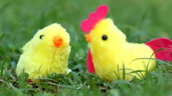 鸡玩具在草地上摇晃或跳舞
