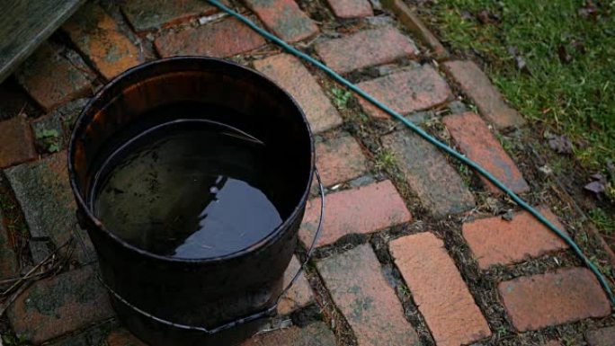 秋天收集雨水的生锈水桶