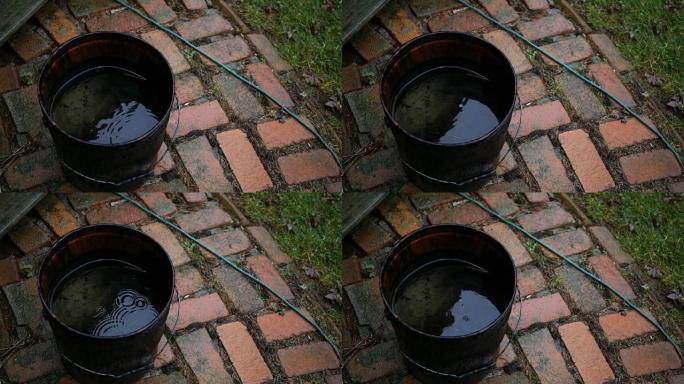 秋天收集雨水的生锈水桶