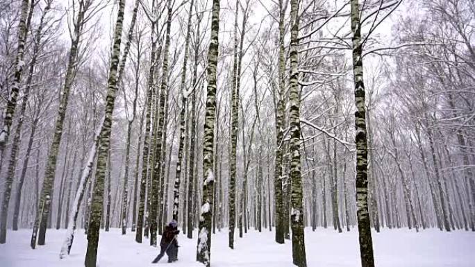 冬季森林里的滑雪者