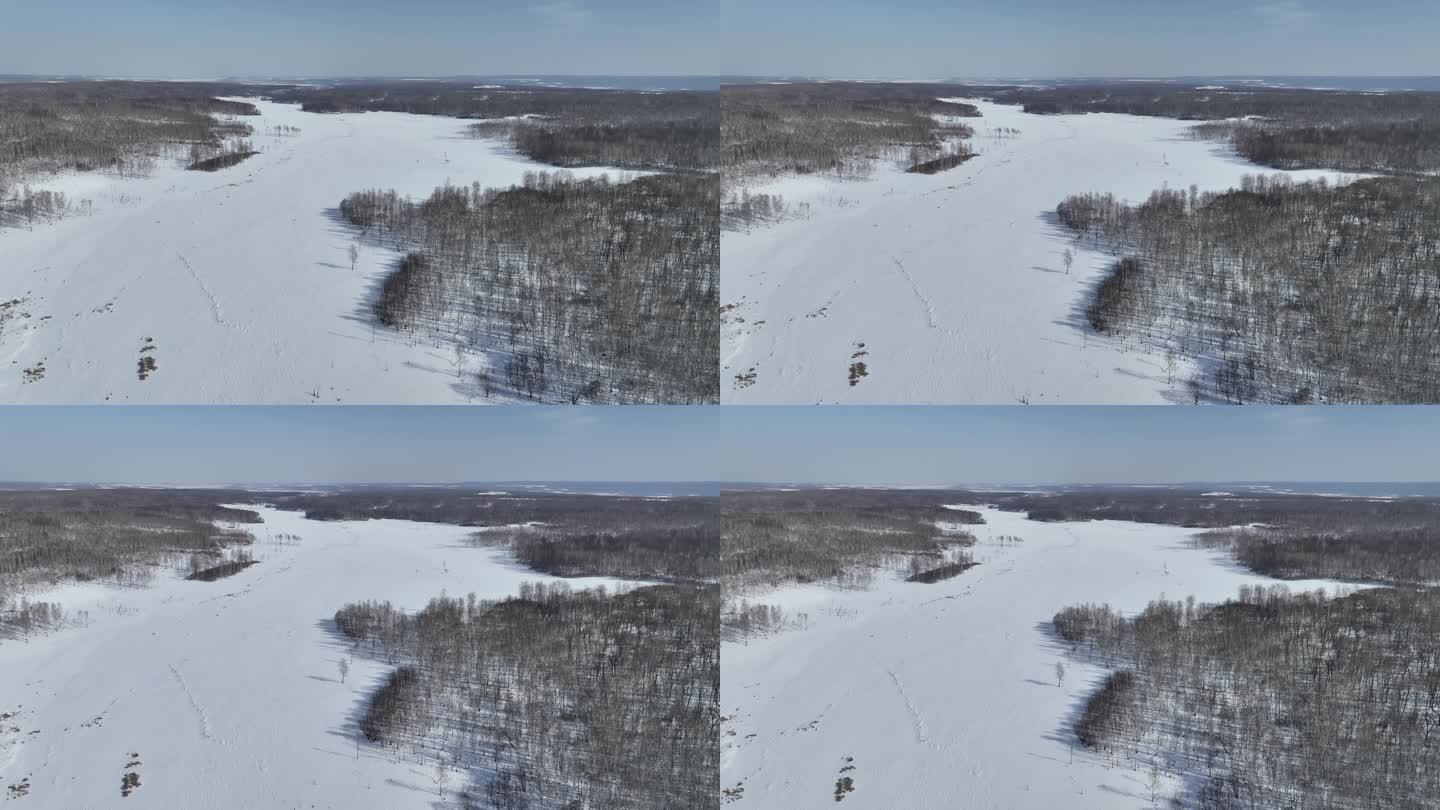 黑龙江黑河小兴安岭森林雪原航拍风光