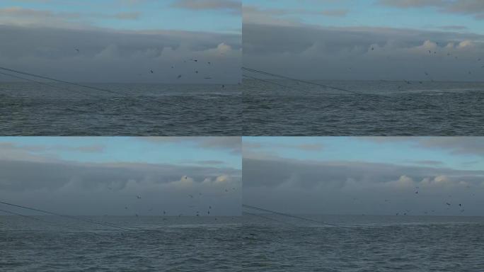 海鸥飞过的捕虾网