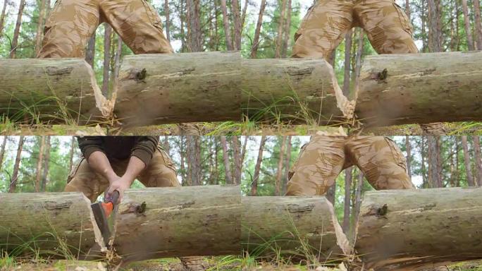 近视图的斧头在大树上，模糊的伐木工在格子衬衫的背景