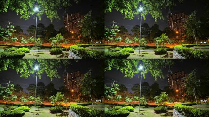 芭堤雅公共花园的夜间时光流逝