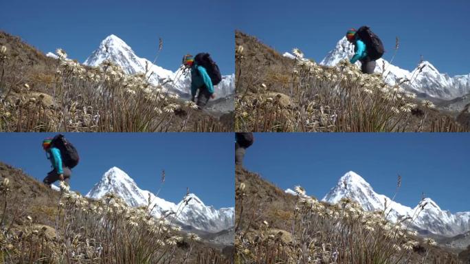 雪绒花和喜马拉雅山的游客