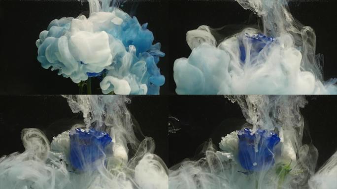 美丽的蓝玫瑰与水中的墨水混合的惊人的大气镜头