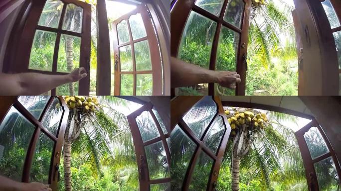 多莉相机朝着用男性手打开的棕榈树花园窗户