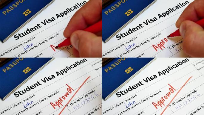 在空白学生签证申请表的复选框中批准钢笔投票