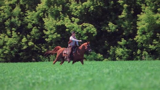 成年男子骑手骑着马在球场上疾驰