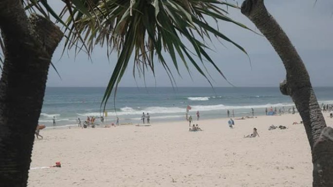 露兜树植物框架的主要海滩冲浪者天堂的长镜头