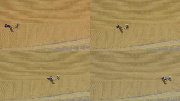 无法识别的碾米厂工人在混凝土路面上耙和撒白米以干燥。无人机天线