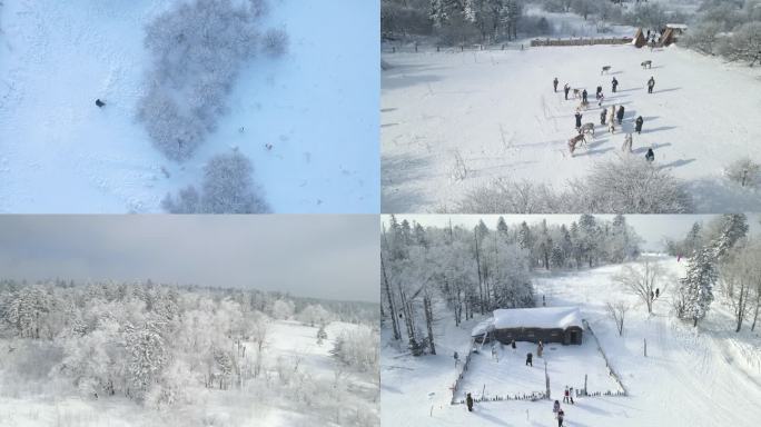 长白山雪岭驯鹿雾凇航拍4k