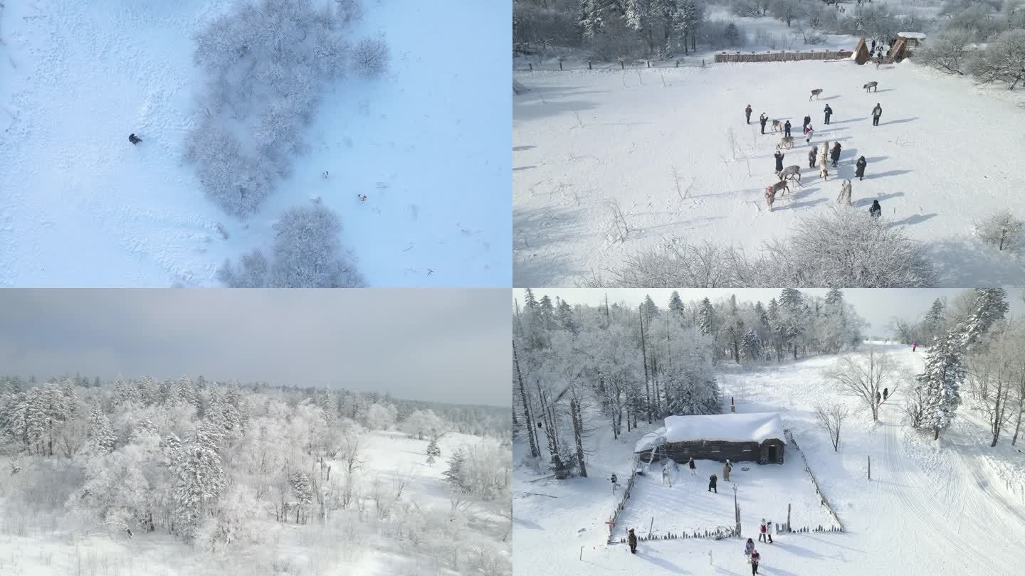 长白山雪岭驯鹿雾凇航拍4k