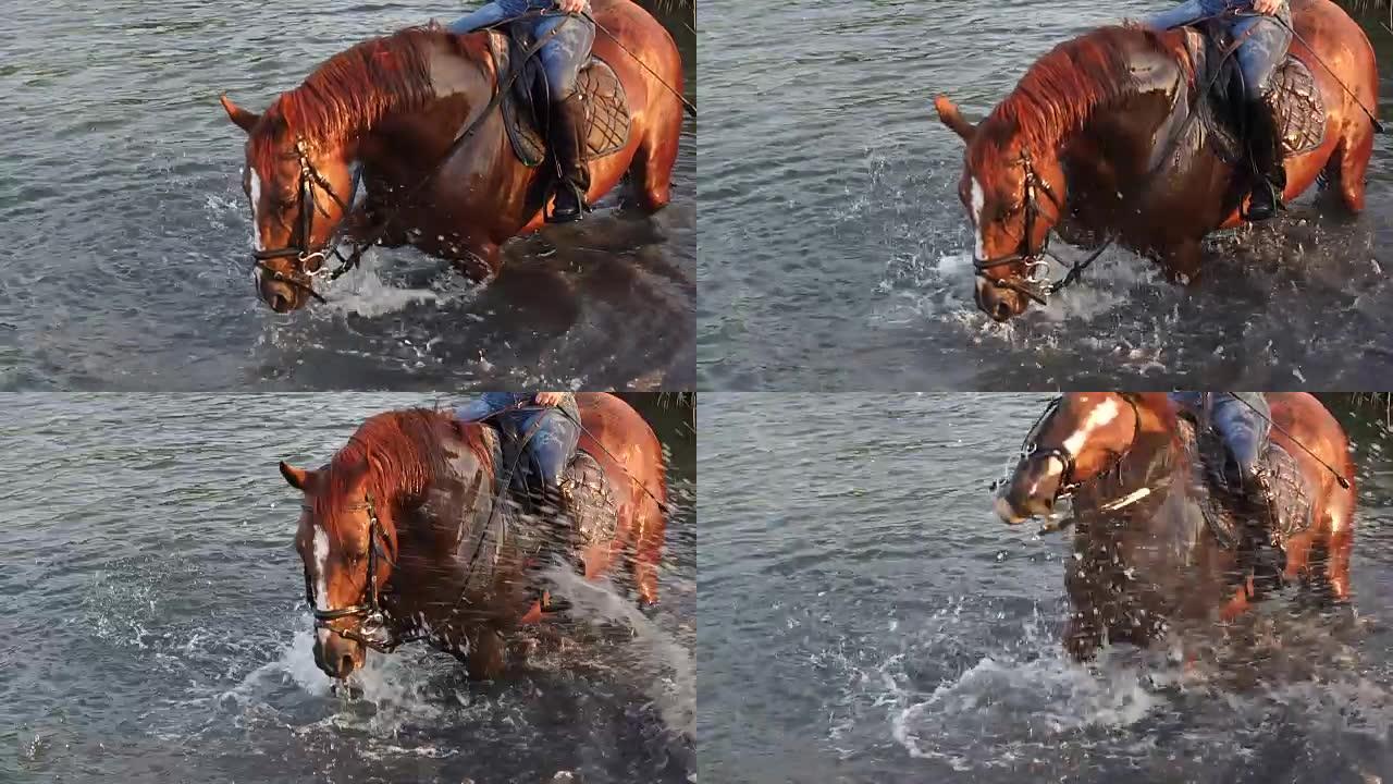 女孩和她的马享受池塘的凉水。