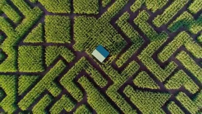 宾夕法尼亚州波科诺斯地区巨大的万圣节玉米迷宫。空中无人机视频正上方