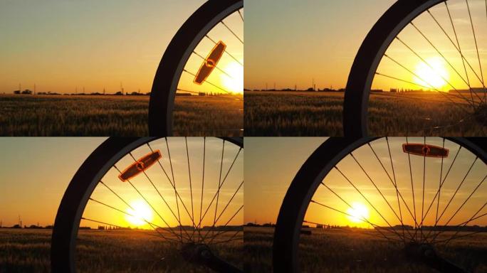 日落。日落时旋转的自行车车轮