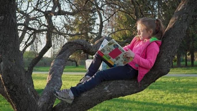 小女孩坐在树上看书