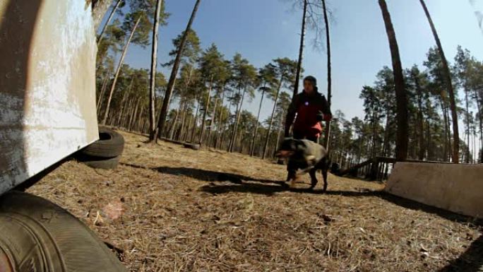 主人在森林中的临时平台上训练狗