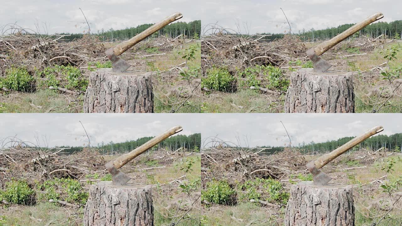 森林砍伐，树桩上的斧头