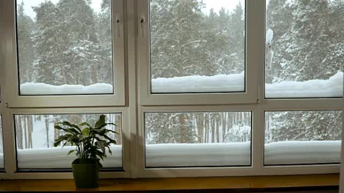 窗户。俯瞰冰雪覆盖的森林的窗户