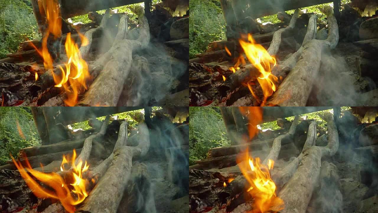 灰色森林野生小猫在大自然的徒步旅行中，在火焰的舌头后面