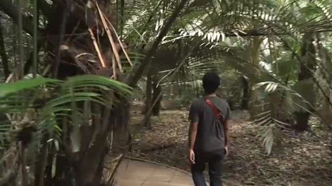 后视图: 跟随年轻旅行者在泰国乌塔萨尼的古老森林中