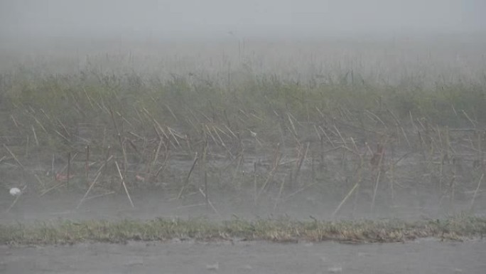 路上大雨