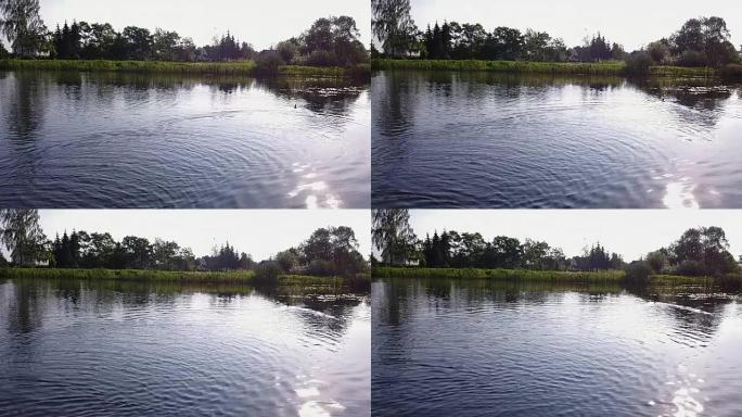 鸭子和芦苇一起在池塘上游到岸边。航空勘测。慢动作
