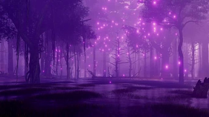 沼泽夜森林中的仙女萤火虫灯