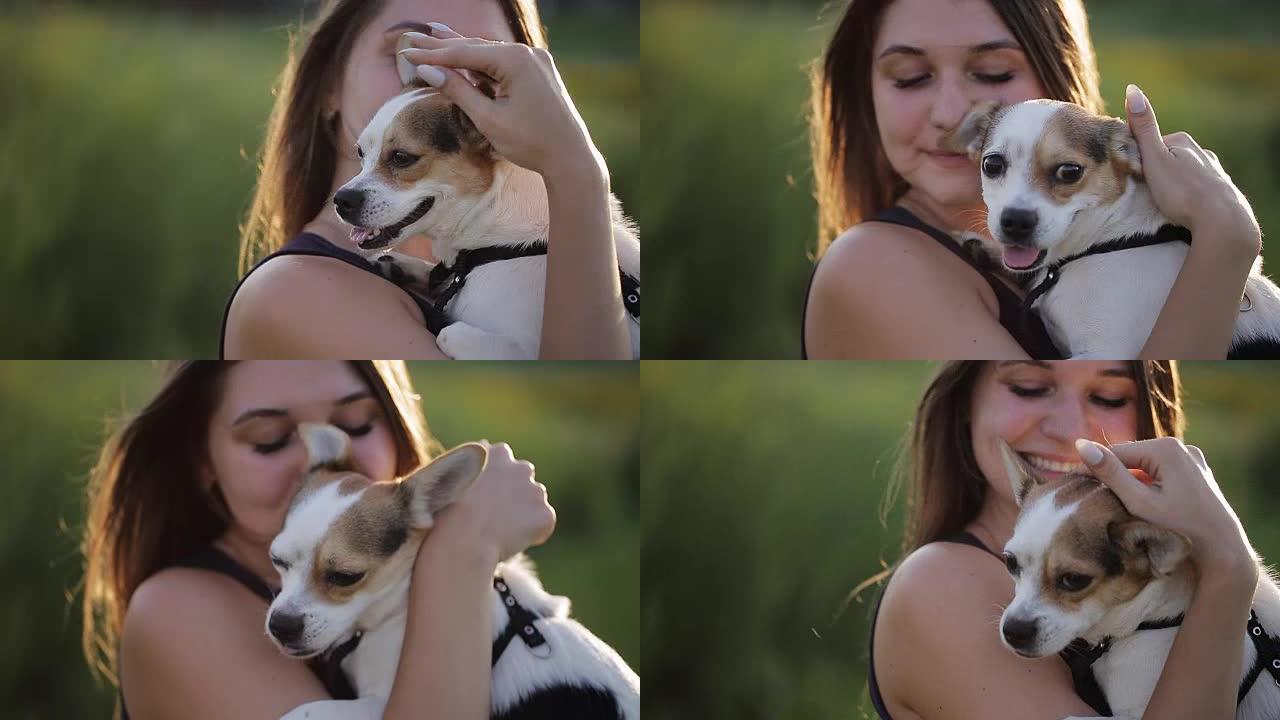 女孩怀里抱着她的宠物微型狗。在夕阳的照耀下，狗轻轻地压在情妇的肩膀上。