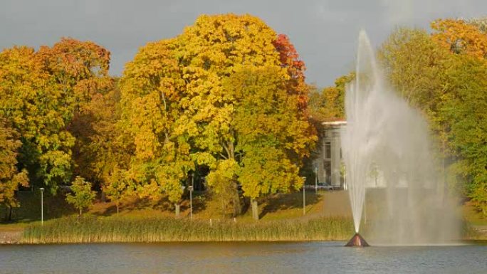 秋天公园里五颜六色的树叶。Lithunia的Druskininkai带喷泉的湖。美丽的秋天风景，五颜