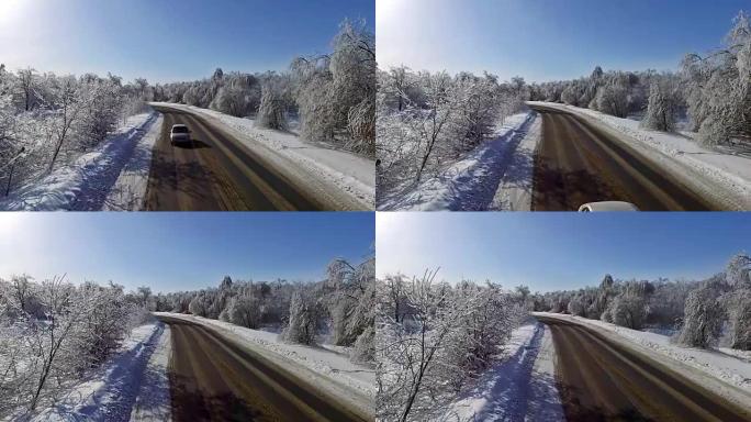 道路树雪冰太阳