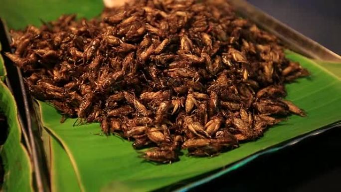 泰国可食用的烤和五香餐蠕虫，在街头食品上油炸的虫子