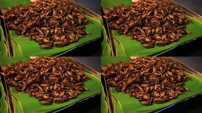 泰国可食用的烤和五香餐蠕虫，在街头食品上油炸的虫子