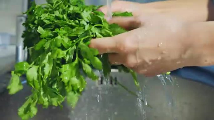 清洗新鲜生菜，喷水