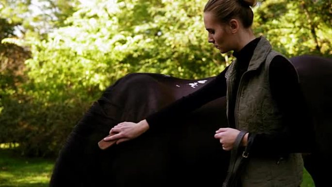 脱落和刷马毛: 年轻迷人的女人修饰她美丽的棕色马站在田野里